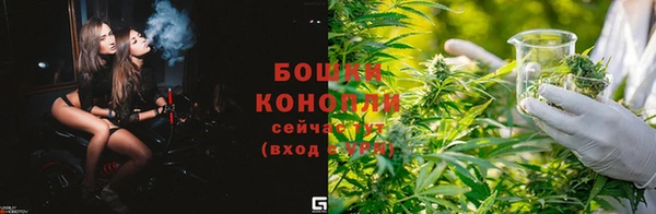 шишки Волосово