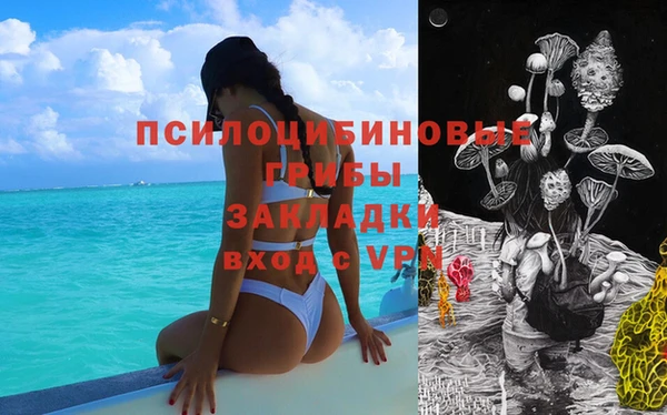 шишки Волосово