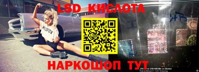 ешки Бийск