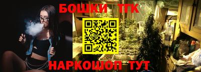 шишки Абакан