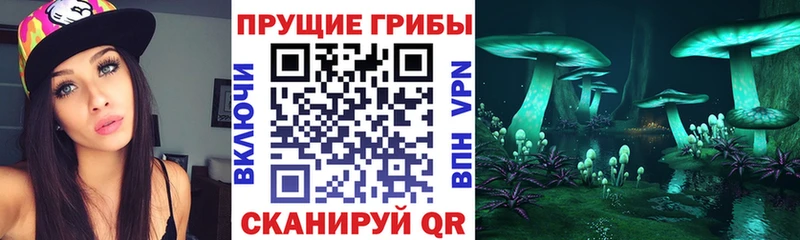 Псилоцибиновые грибы Psilocybe  Воткинск 