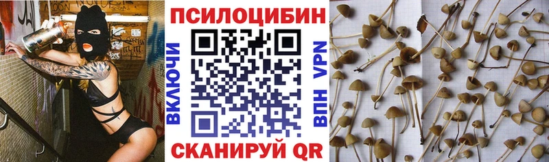 Псилоцибиновые грибы прущие грибы Воткинск