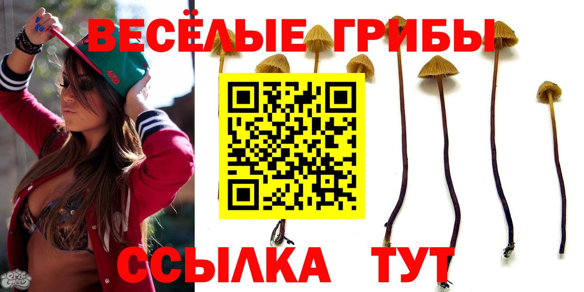 Галлюциногенные грибы Psilocybine cubensis Воткинск